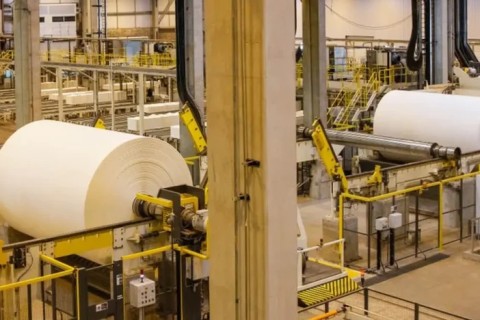 EUA retiram taxa das exportações nacionais de celulose e ferro-níquel